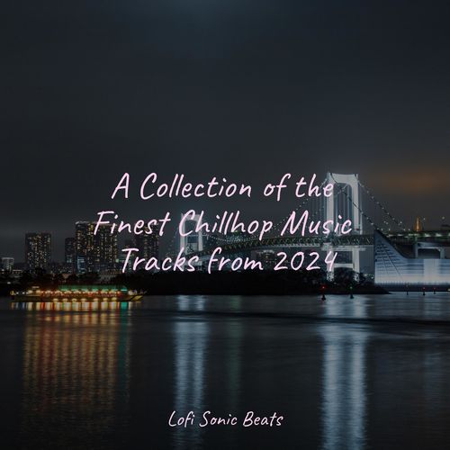 A Collection of the Finest Chillhop Music Tracks from 2024