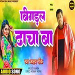 Bigadal Dhacha Ba Akshay Zt