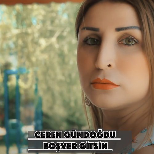 Boşver Gitsin