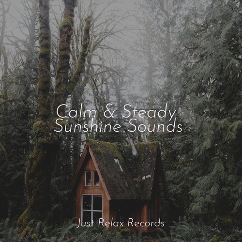 Calm & Steady Sunshine Sounds