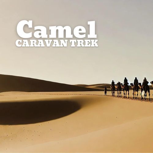 Arabian Harmony cover art