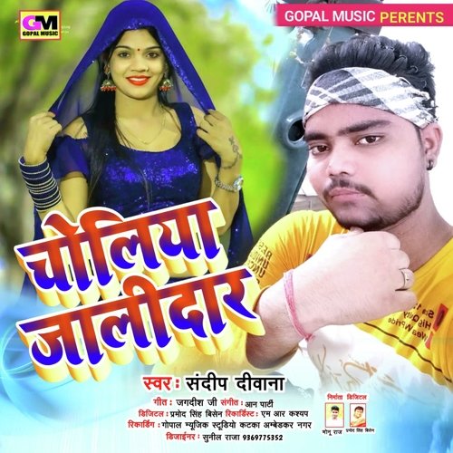 Choliya Jalidaar (Bhojpuri Song)