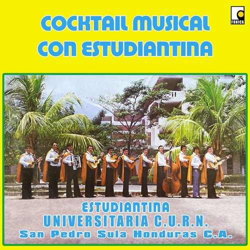 Cocktail Musical Con Estudiantina_poster_image