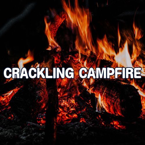 Crackling Campfire Serenity in the Wilderness: Warm Fire Sounds for Total Relaxation