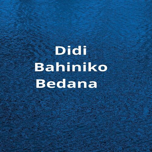 Didi Bahiniko Bedana_poster_image