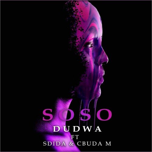 Dudwa_poster_image