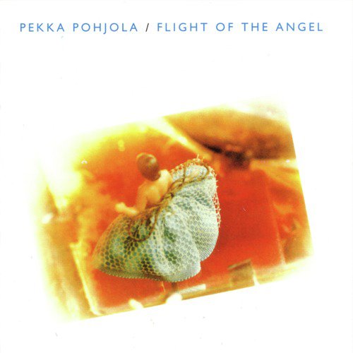 Flight of the Angel (Re-Issue)_poster_image