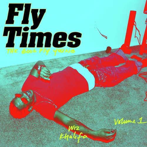 Fly Times Vol. 1: The Good Fly Young