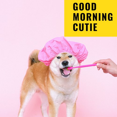 Sleepy Dogs cover art