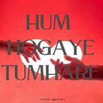 Hum Hogaye Tumhare