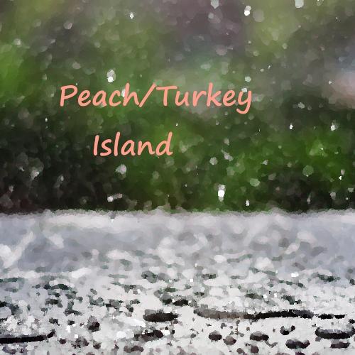 Island cover art