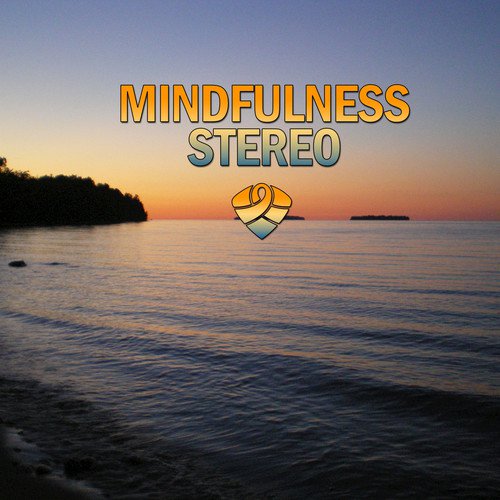 Mindfulness Stereo, Vol. 14