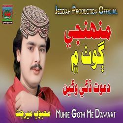 Muhnji Goth Ma Dawat Daye Wayen-XTAhVTZaX2U