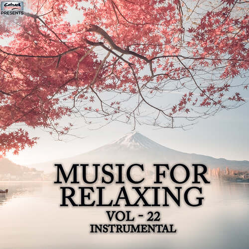 Music For Relaxing Vol 22