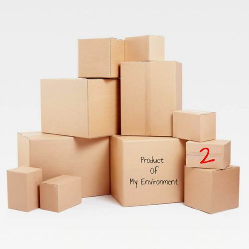 Product Of My Environment 2