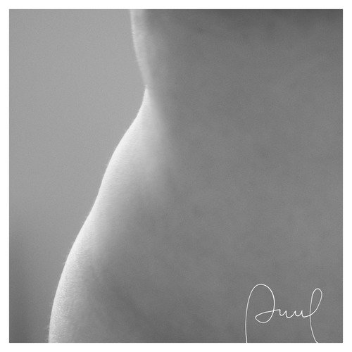 Loris cover art