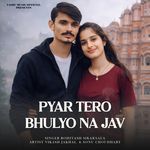 Pyar Tero Bhulyo Na Jav