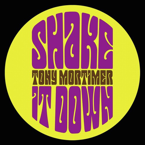 Shake It Down - Single