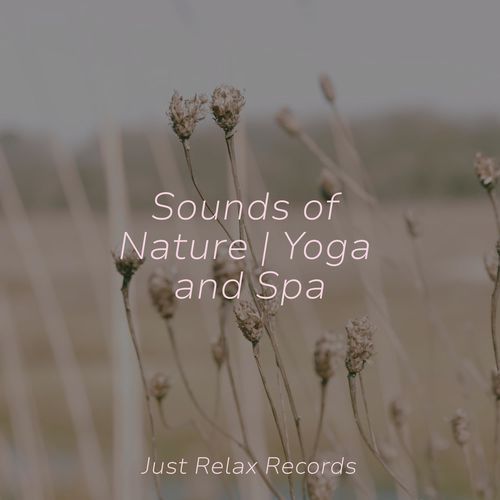 Sounds of Nature | Yoga and Spa