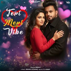 Teri Meri Vibe