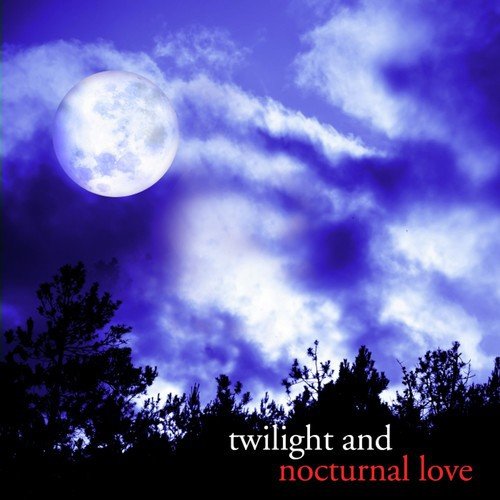 Twilight and Nocturnal Love
