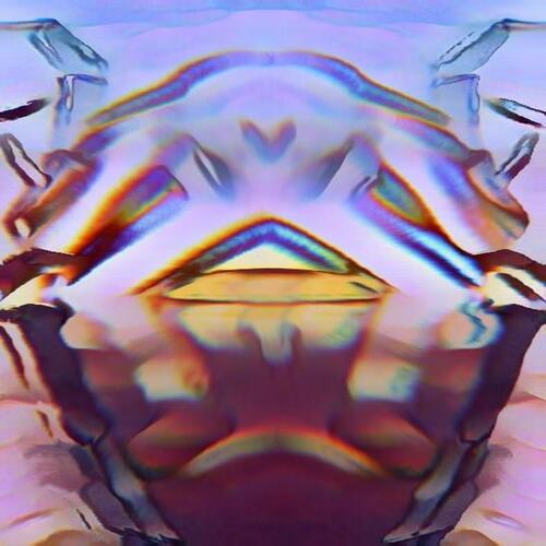 V.I.P cover art