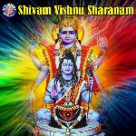 Vishnu Shivam Sharanam