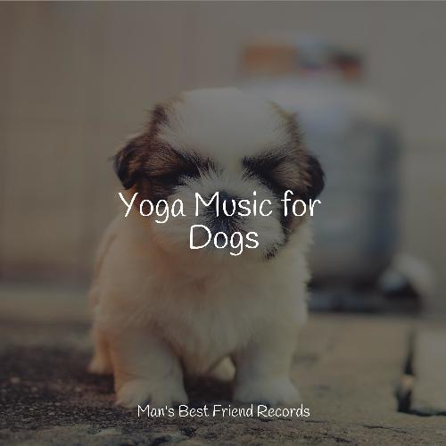 Yoga Music for Dogs