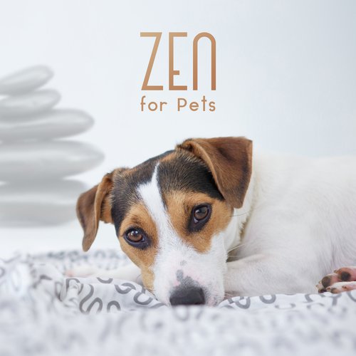 Zen for Pets - Deeply Calming and Relaxing Meditation Music 2019