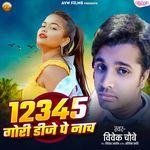 12345 Gori Dj Pe Nach