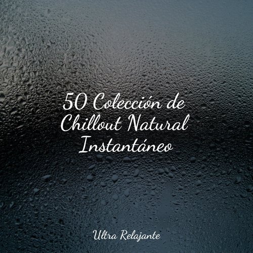 50 Colección de Chillout Natural Instantáneo