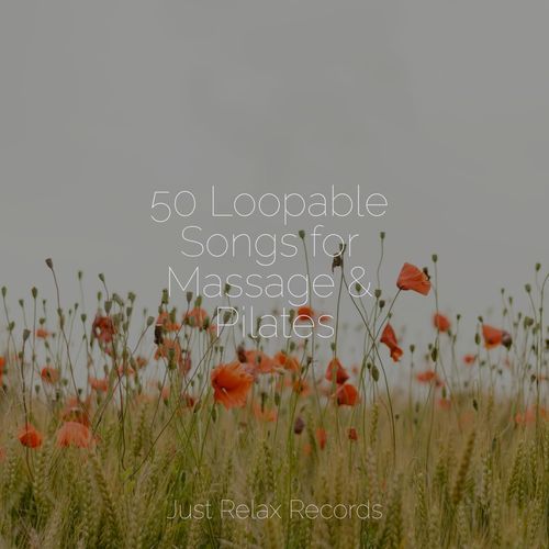 50 Loopable Songs for Massage & Pilates