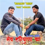 पढ़ा लिखा शौकीन मेव हरियाणा का