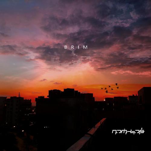Whales (feat. Rohit Prasanna) cover art