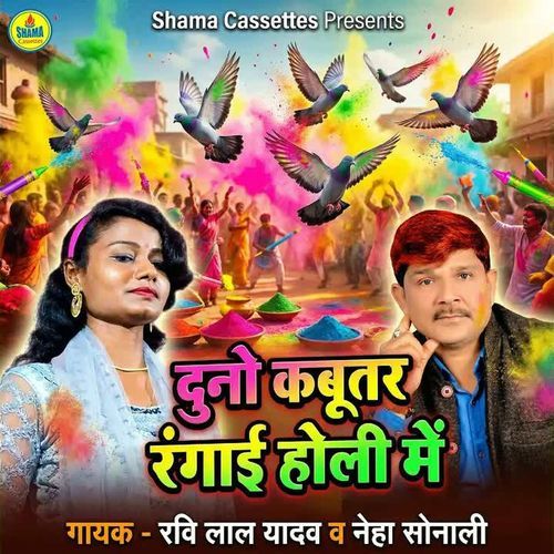 Duno Kabootar Rangai Holi Me