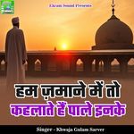 Hum Jamaane Me To Kehlate Hai Paale Inke