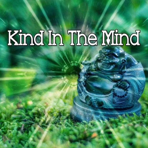 Kind In The Mind_poster_image