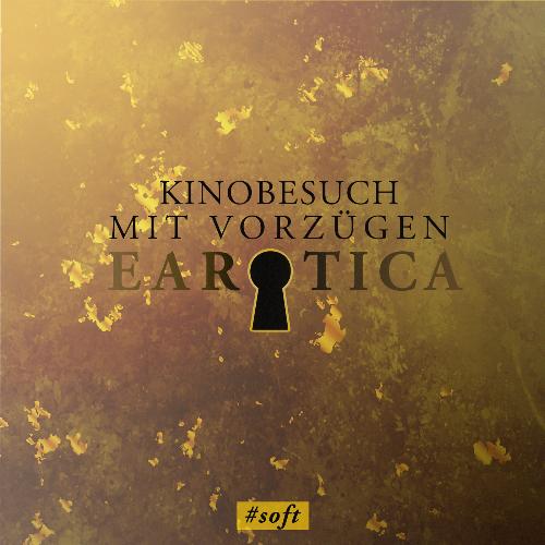 Kinobesuch mit Vorzügen (Erotische Kurzgeschichte, Teil 2) cover art
