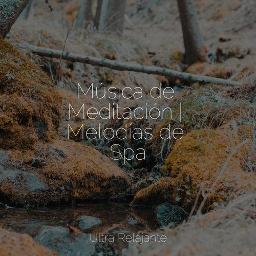 Arena Y Agua cover art