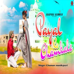 PAYAL KE CHAMKALE-NTElRAF4QR4