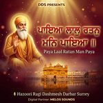 Paya Laal Ratan Man Paya