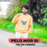 Pelo Mor Bi Tehu Tehu Aakheneva artwork