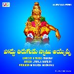 Poddhu Tirugudu Swamy Ayyappa