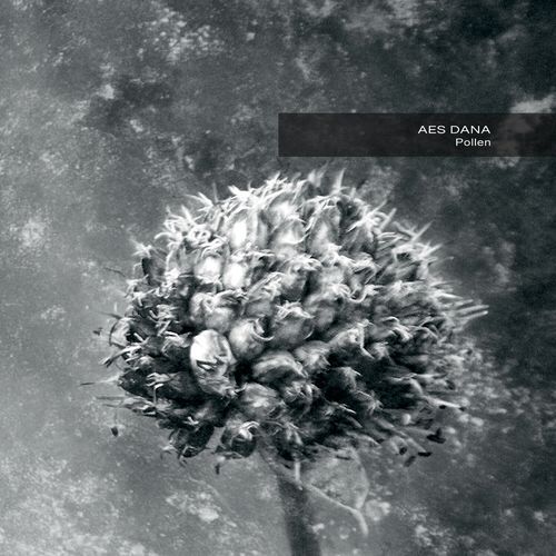 Pollen (2017 Remastered)