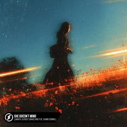 She Doesn't Mind (feat. Shawn O'Donnell)