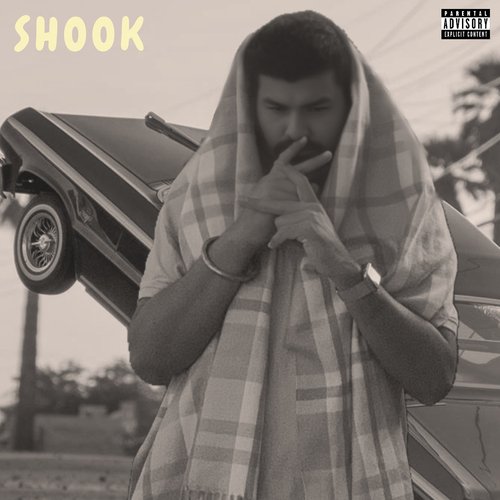 Shook_poster_image