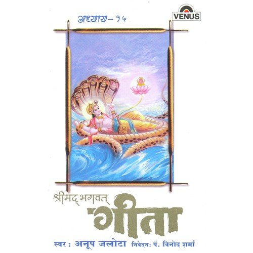 Shreemad Bhagwat Geeta - Vol. 15