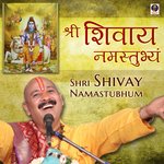 Shri Shivay Namastubhum