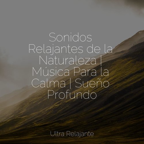 Sonidos Relajantes de la Naturaleza | Música Para la Calma | Sueño Profundo_poster_image