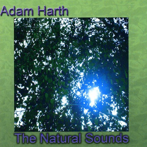 The Natural Sounds
